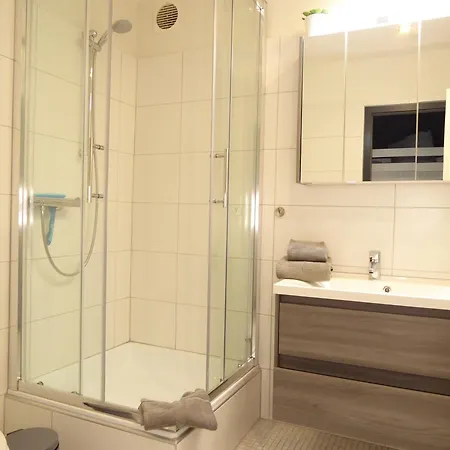 Apartment Mountain Pool Sauna Hund 4 Pers Near Lift *