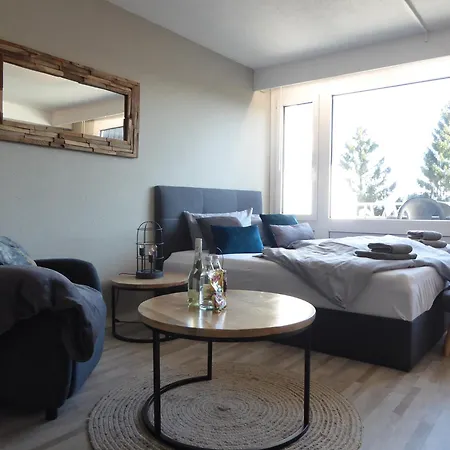 Mountain Pool-sauna-terrasse-hund-4pers-bikepark Appartement