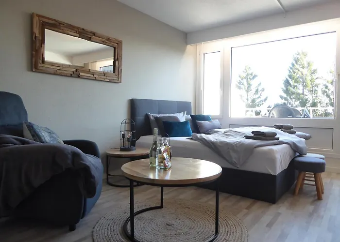 Mountain Pool Sauna Hund 4 Pers Wifi Near Lift Lejlighed